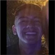 Clases particulares de harlterofilia, desde las bases teoricas hasta pasar a practica